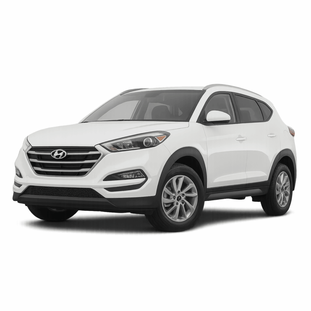Alquiler de casas Hyundai New Tucson en Puerto Natales