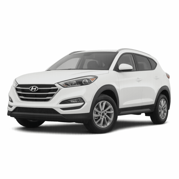 Hyundai tucson Rent a Car Puerto Natales Patagonia